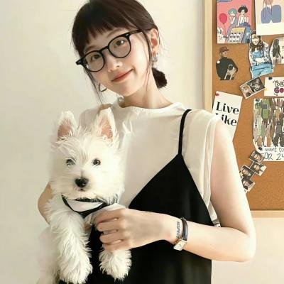 青丘狐传说TV版